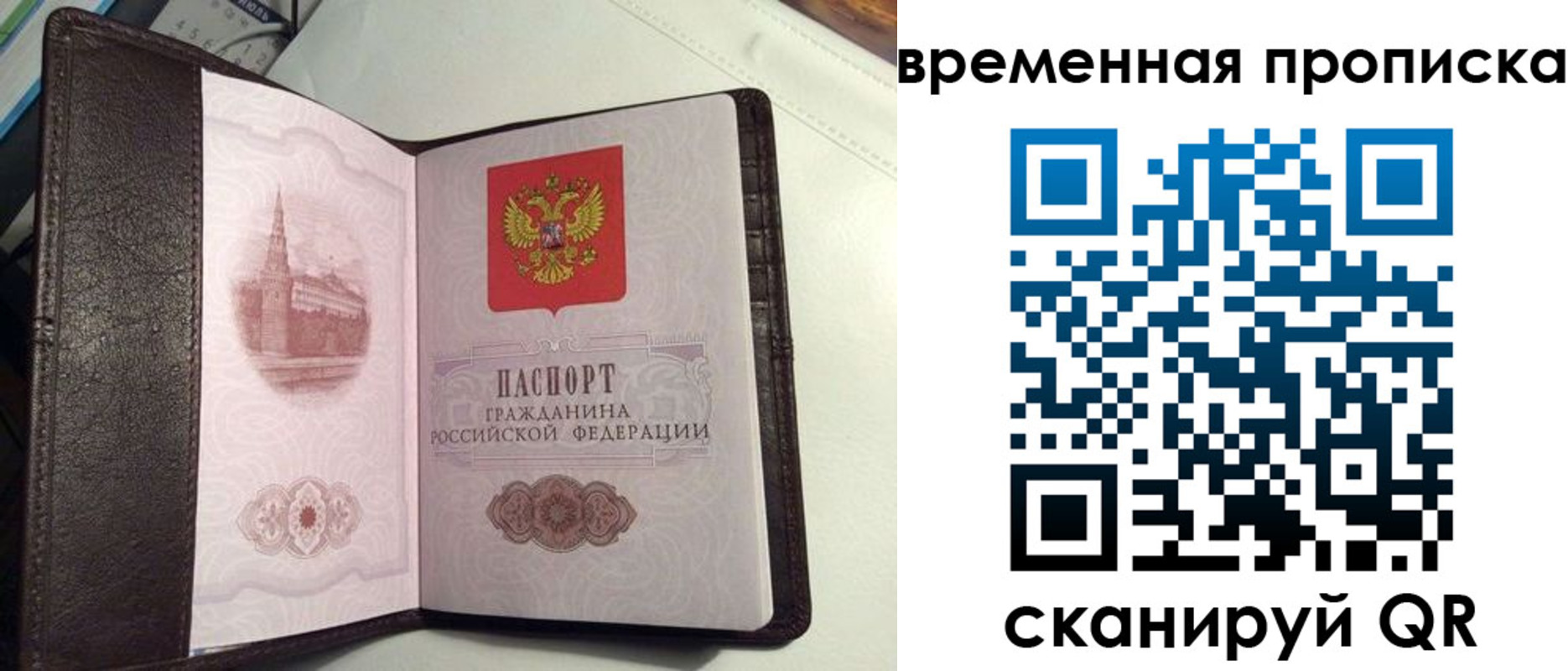 прописка 2025 в Калтане